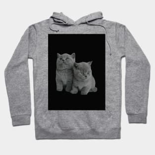 kittens on the black Hoodie